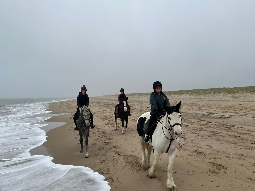 Shrule Equestrian Centre-Gorey必去景点