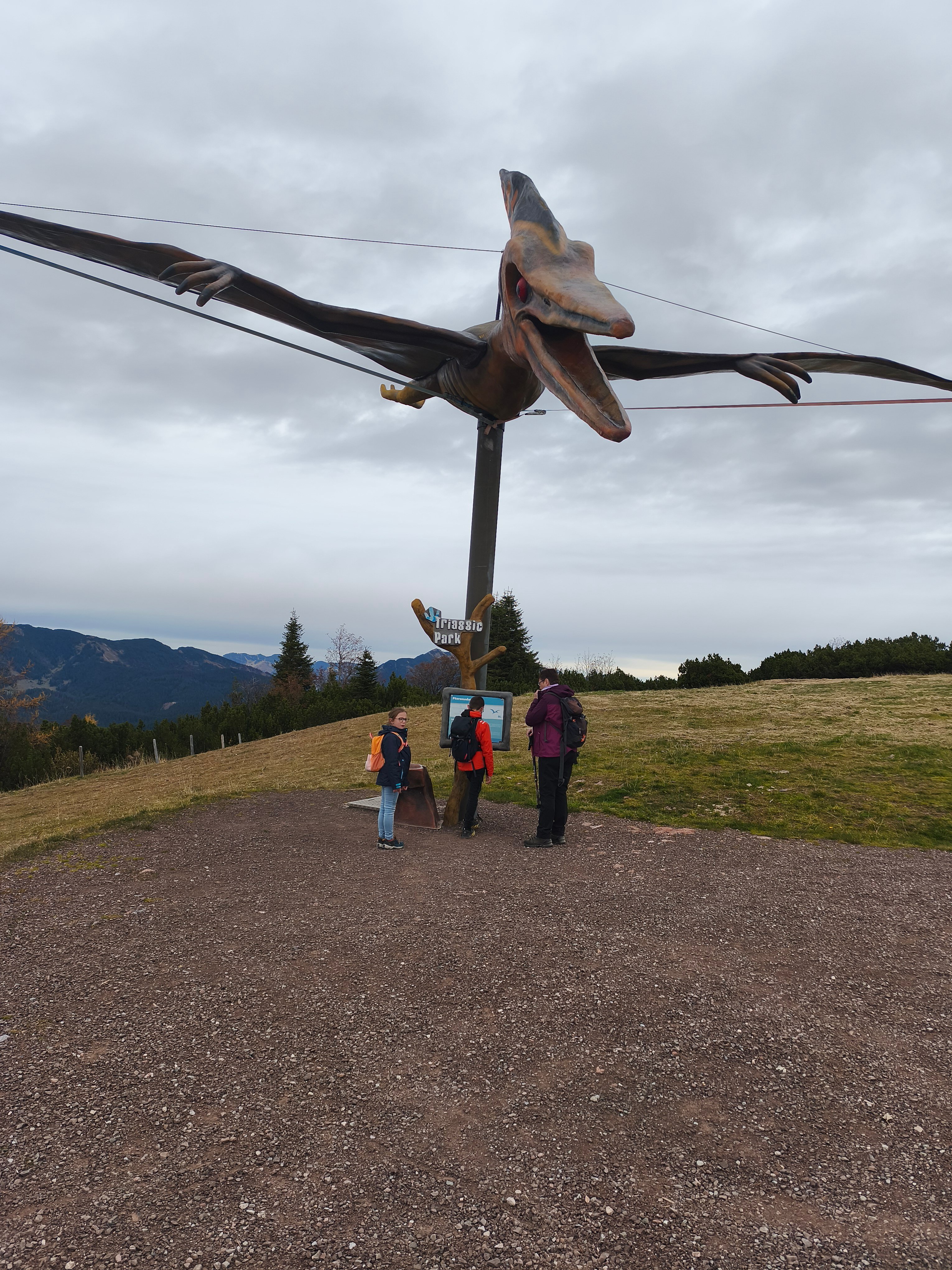 Hotel Waidringer Hof 4-Sterne-Superior - 1. Tiroler Gluckshotel-官方