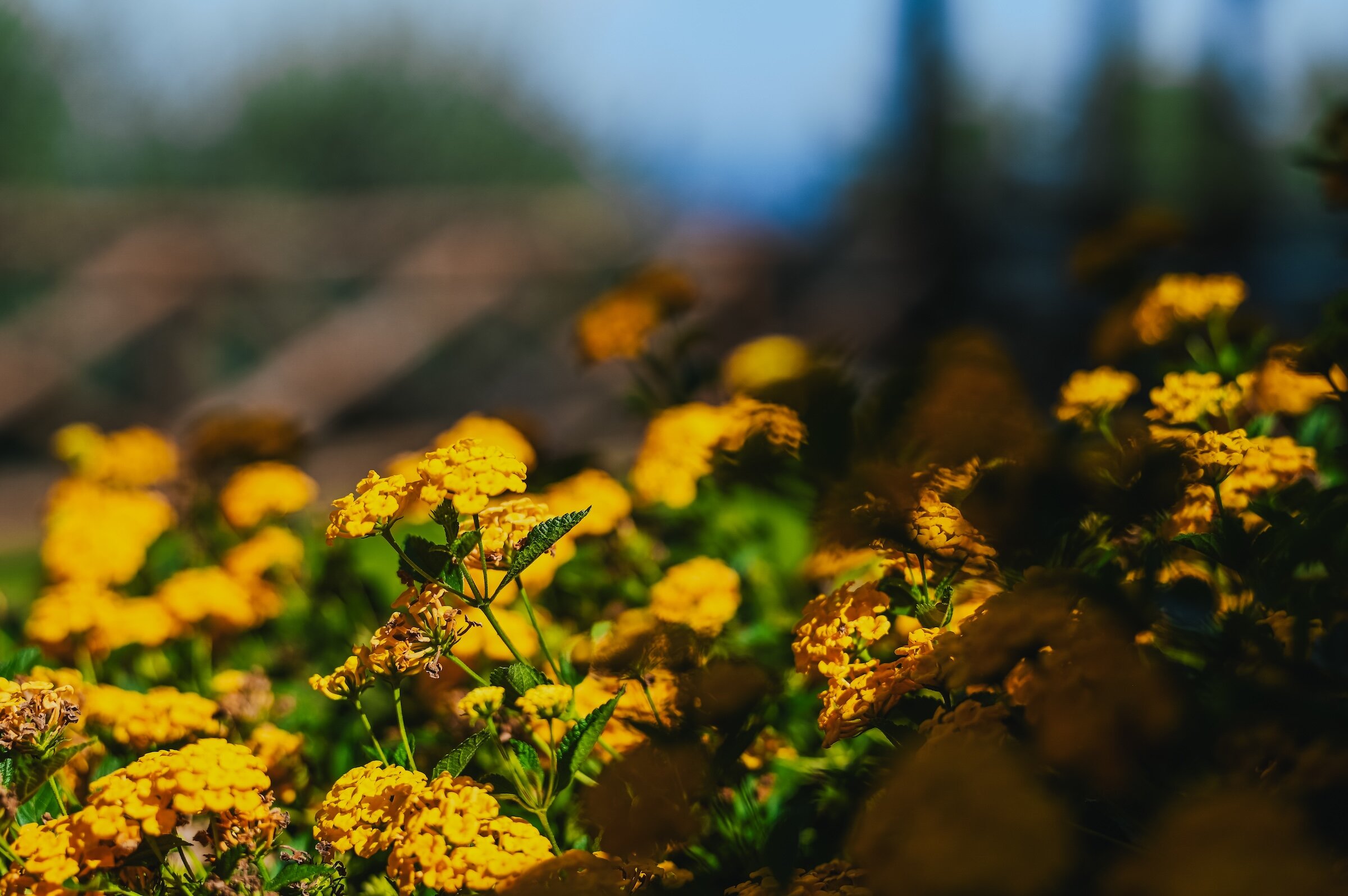 维拉菲瑞拉艺术酒店-浴室
