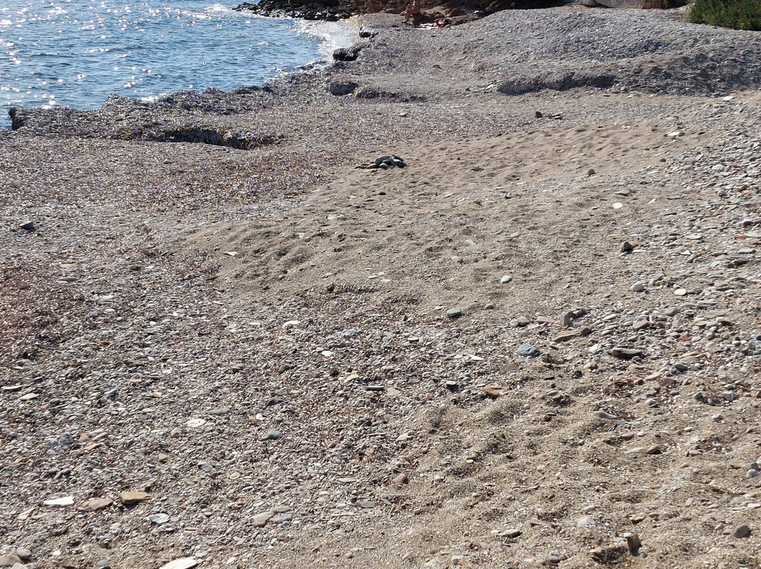 Spiaggia di Campionna-Teulada必去景点