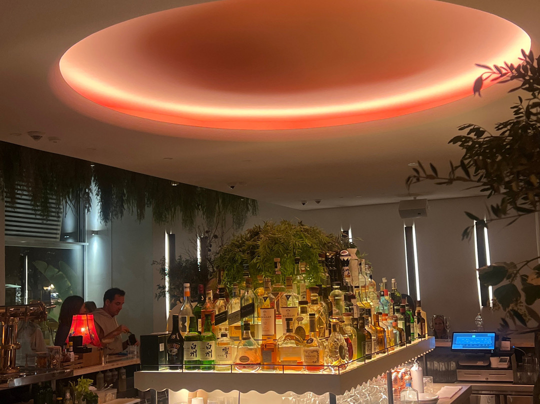 Jara At The Standard, Ibiza