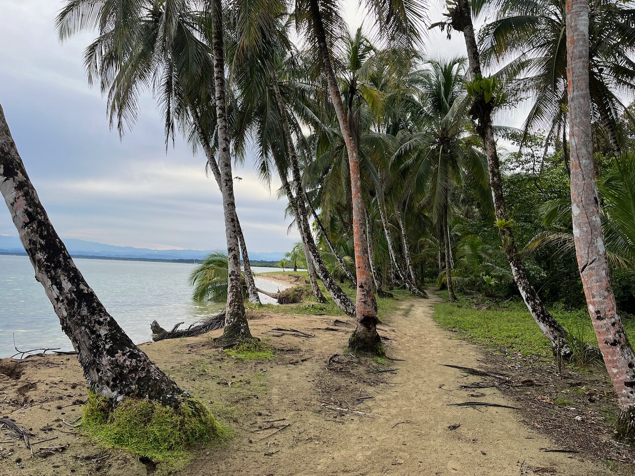 Casa Cayuco Eco-Adventure Lodge-浴室