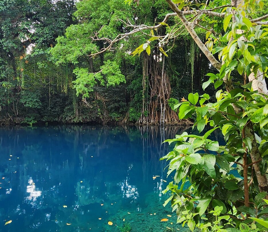 Matevulu Blue Hole-埃斯皮里图桑托岛必去景点