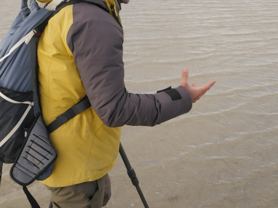 Maxim Guide Baie de Somme-Boismont必去景点