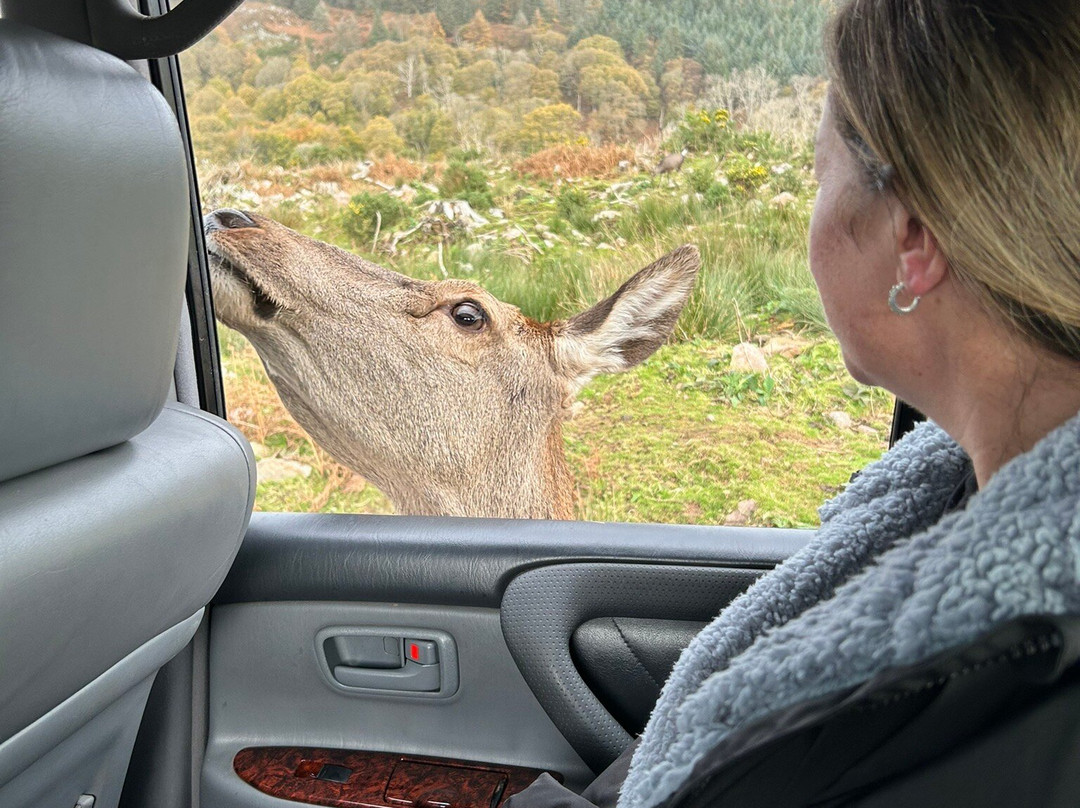 Bainloch Deer Park-Dalbeattie必去景点
