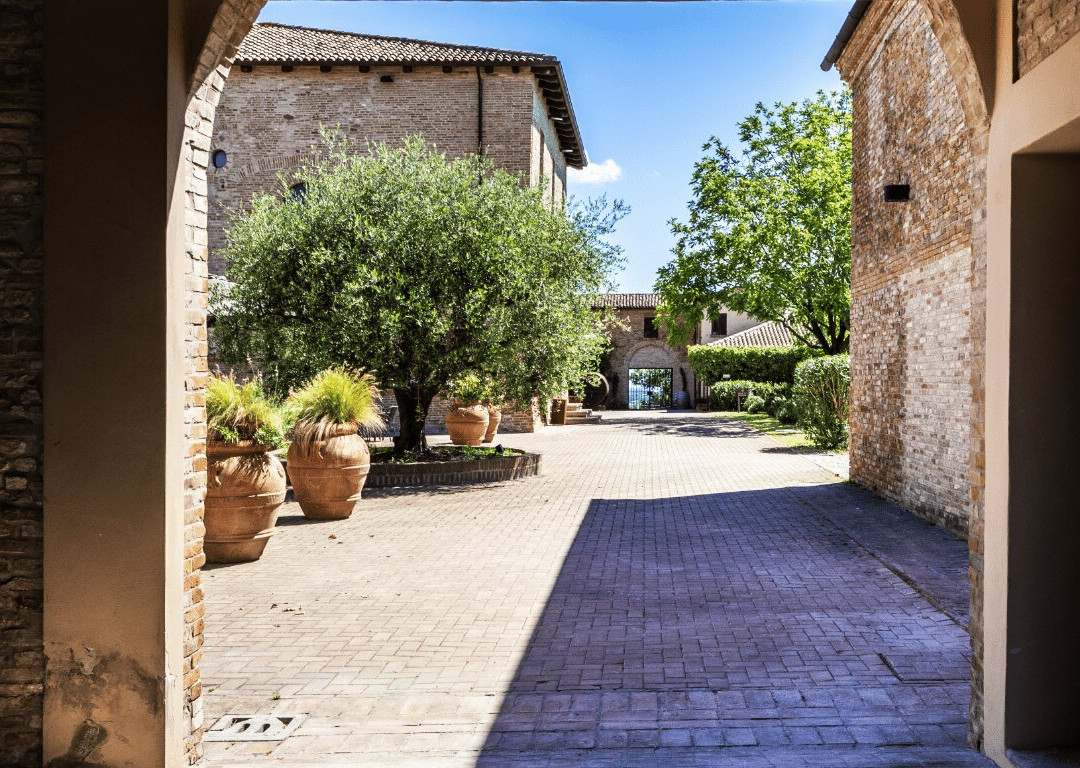 Castello di Ribano-鲁比科内河畔萨维尼亚诺必去景点