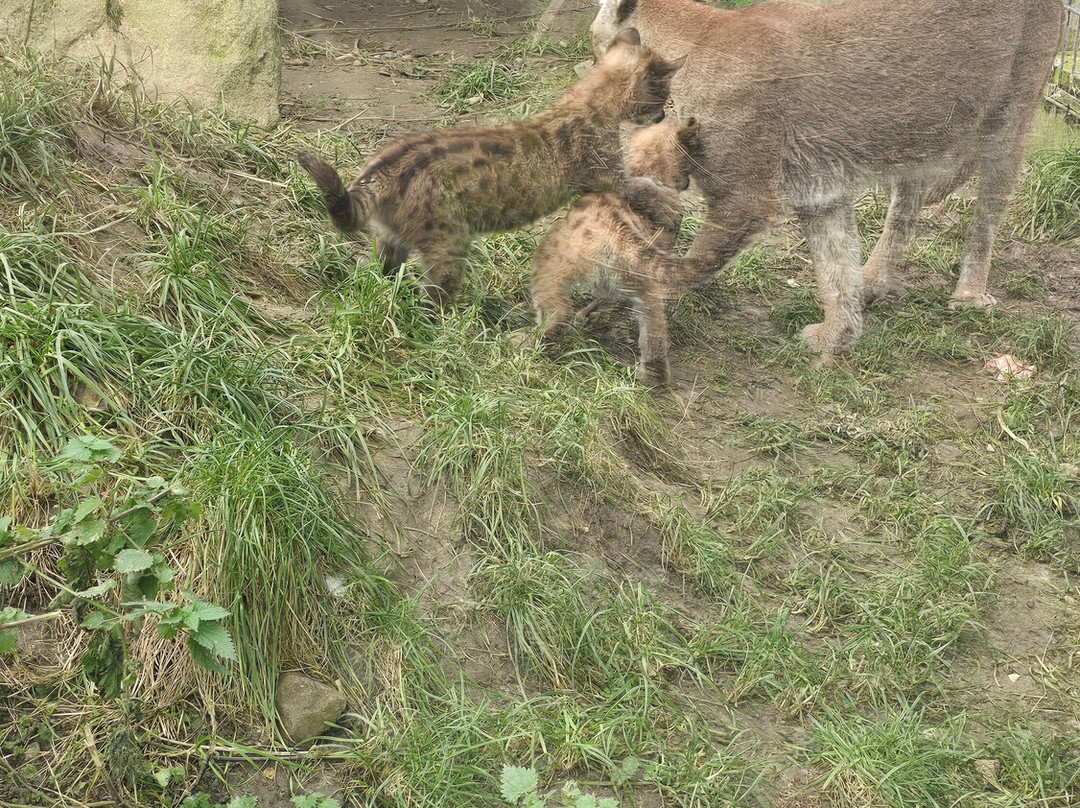 Krokodille Zoo-Eskilstrup必去景点