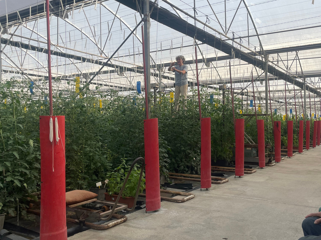 Clisol Turismo Agricola-艾尔艾吉多必去景点