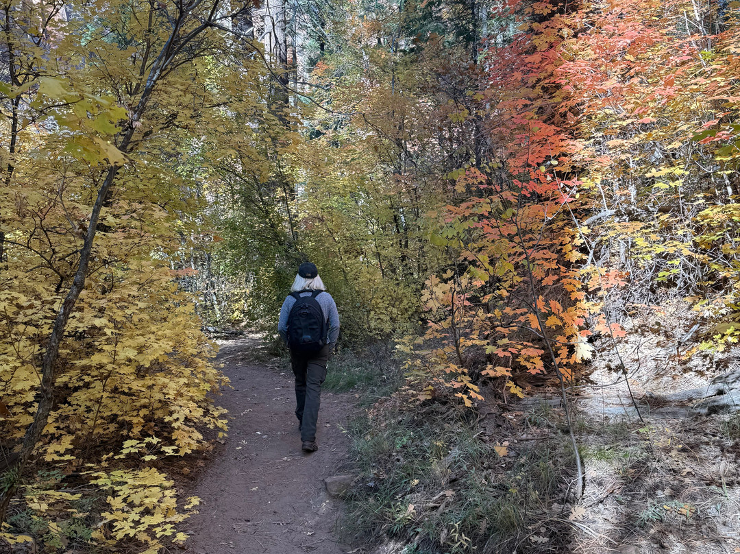 West Fork Oak Creek Trailhead-塞多纳必去景点