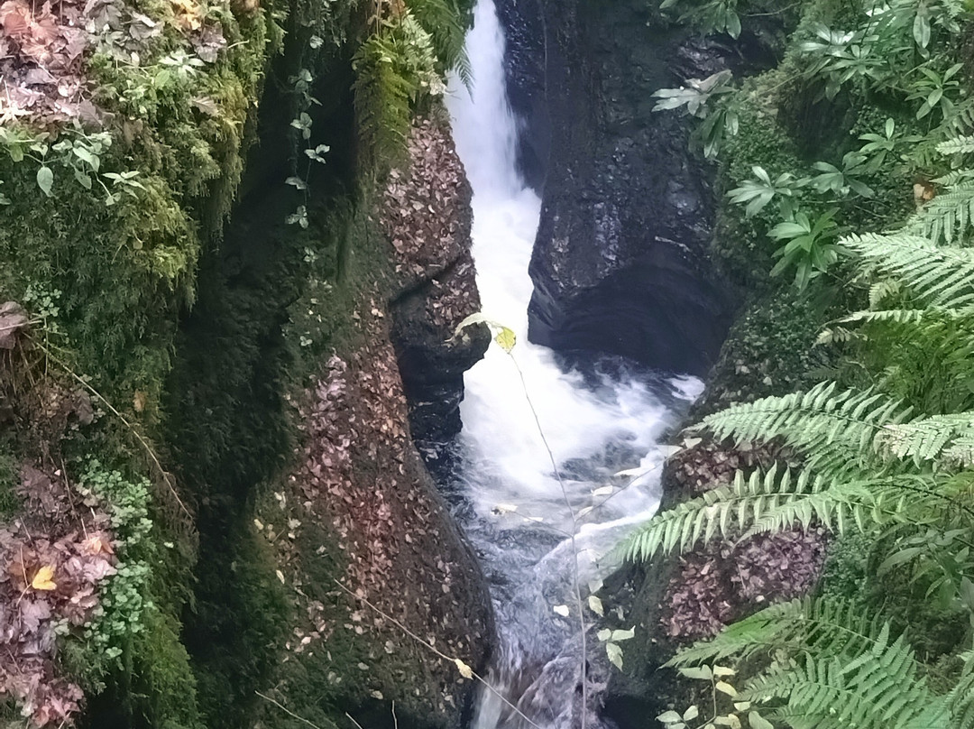 Lydford Gorge-Lydford必去景点