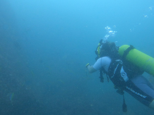 Dive For You-希克杜沃必去景点