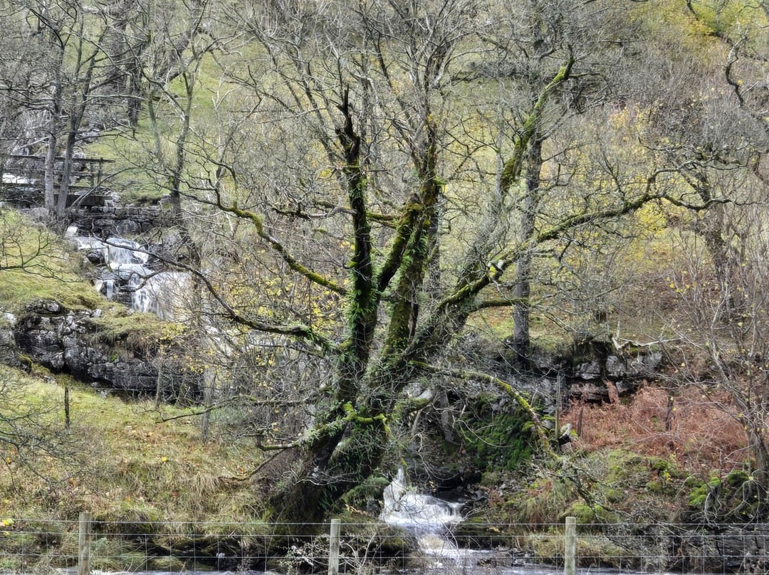 Real Yorkshire Tours-Burley in Wharfedale必去景点