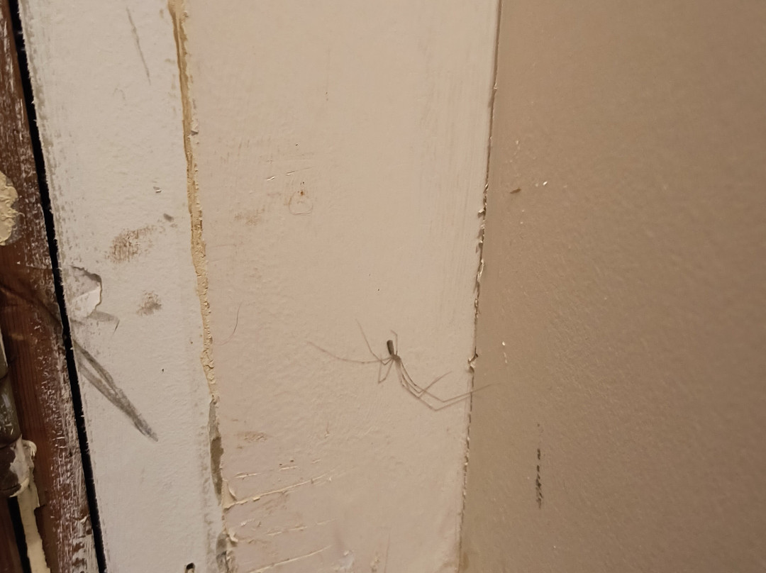 Ridge Top Motel & Campground主图