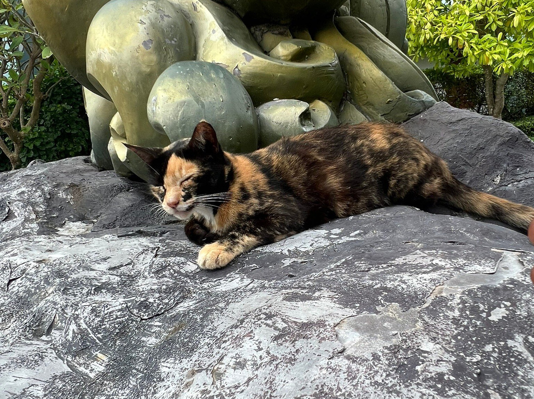 Amazing Canoeing-班巴克洛必去景点