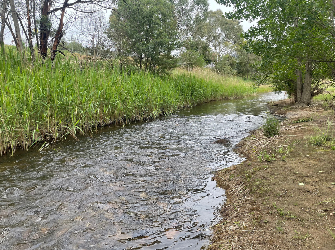 The Creek Playspace-Swifts Creek必去景点