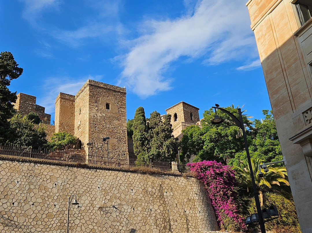 Vamos Academy Malaga-马拉加必去景点
