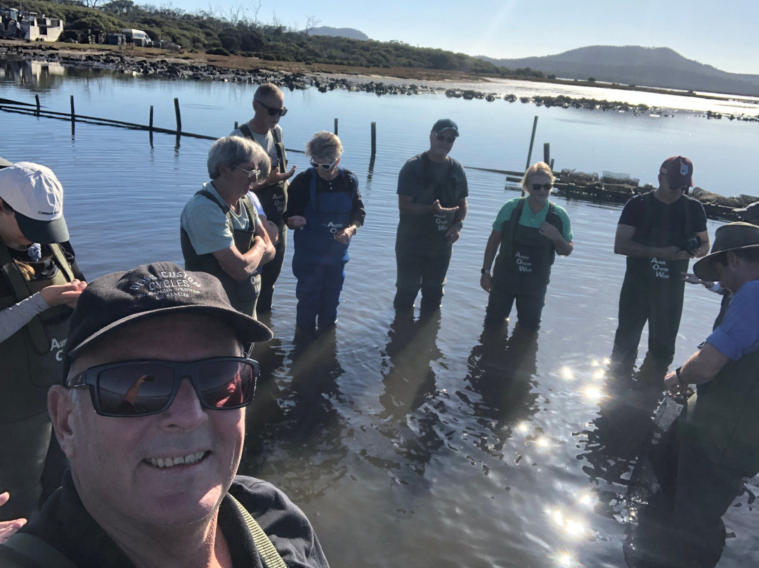 Oyster Bay Tours-科尔斯湾必去景点