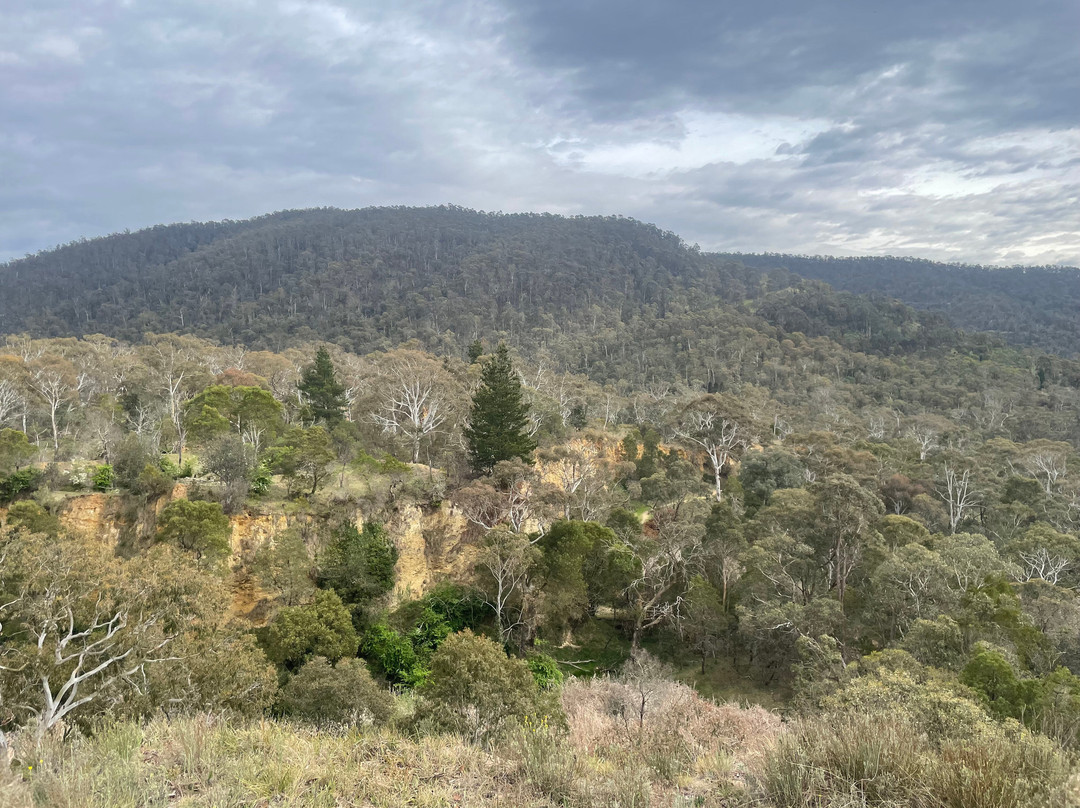 Pioneer Lookout-Omeo必去景点