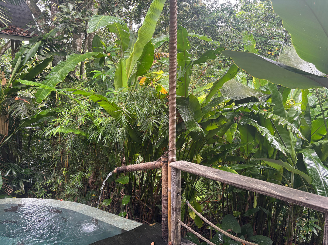 Sacred Canyon Ubud by GenuineHost