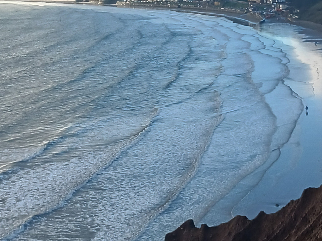 White Rose Guest House主图