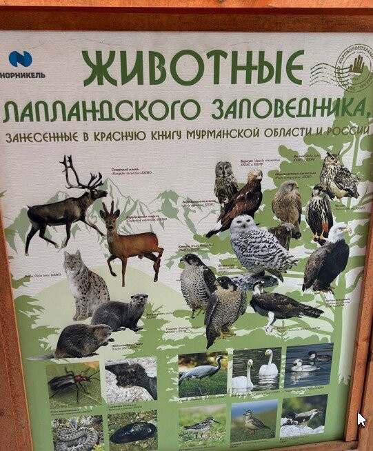 Lapland Nature Reserve-Murmansk Oblast必去景点