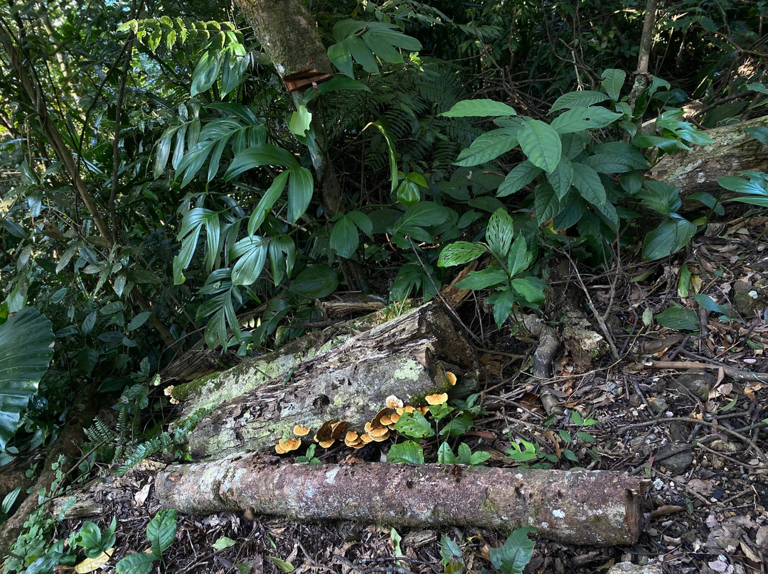 Amour Resort Bavi主图