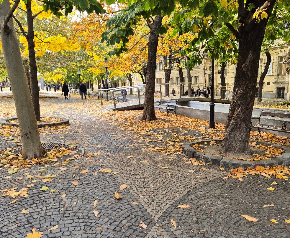 Fontana Hviezdoslavovo Namestie-Namestovo必去景点