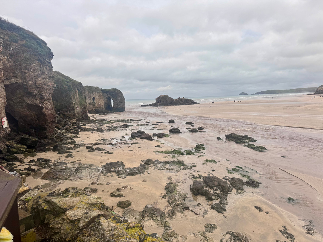 The Seiners Arms主图