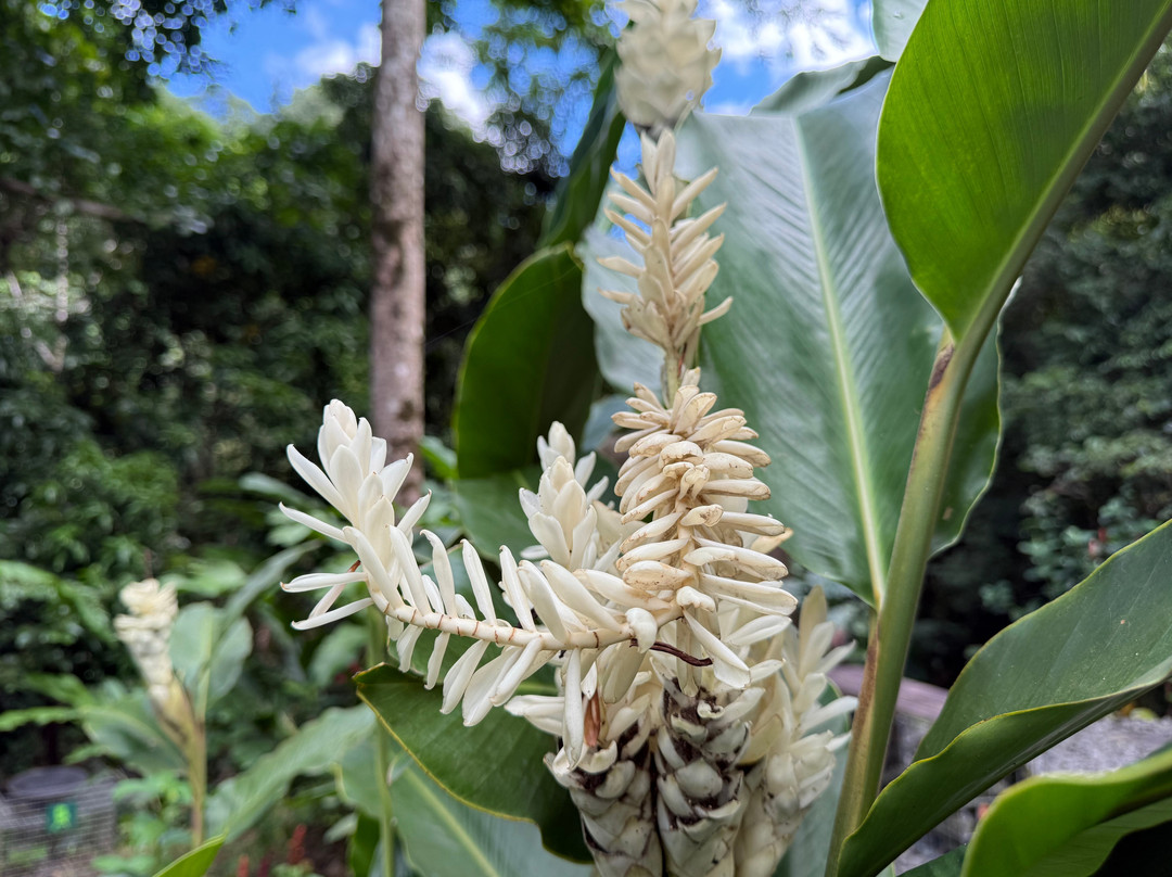 Parc De La Source-Bouillante必去景点