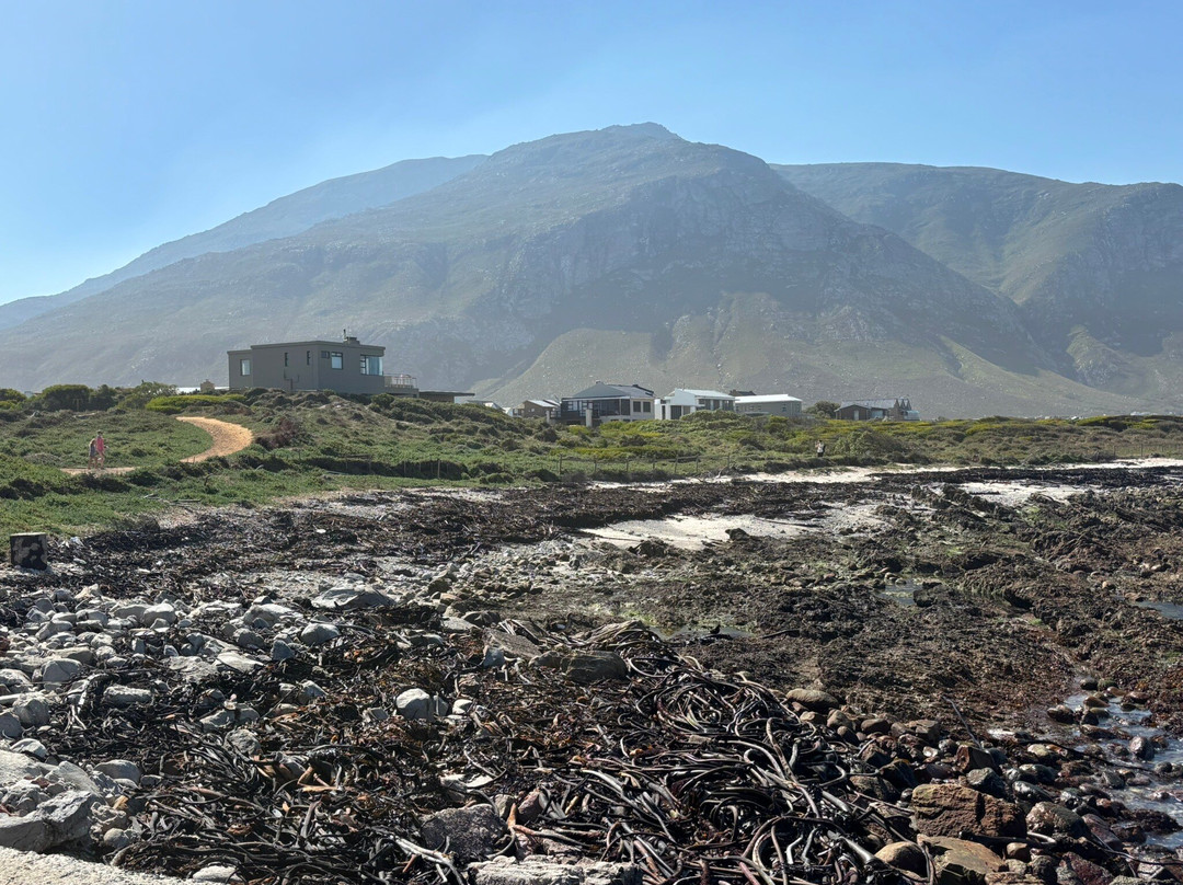 Kleinmond Beach-小月必去景点