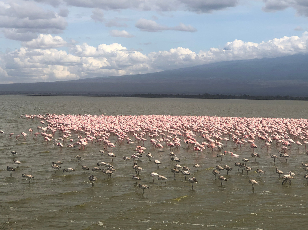 Amboseli National Park-Amboseli Eco-system必去景点