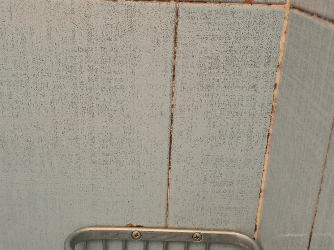 Hotel Tuscolano主图