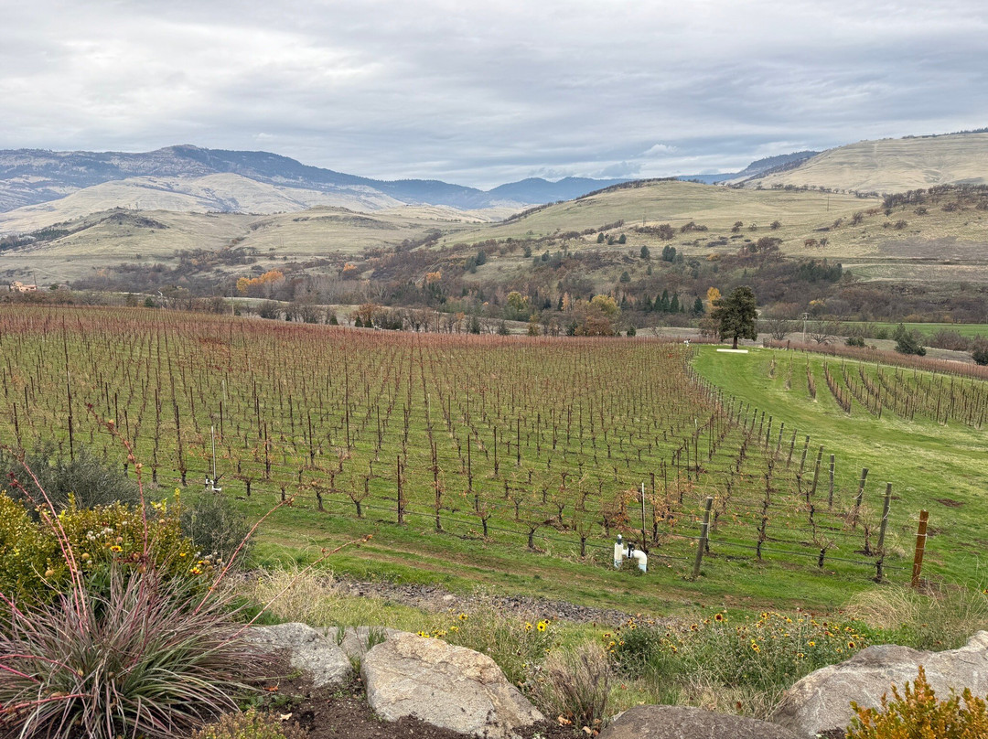 Irvine & Roberts Vineyards-阿什兰必去景点