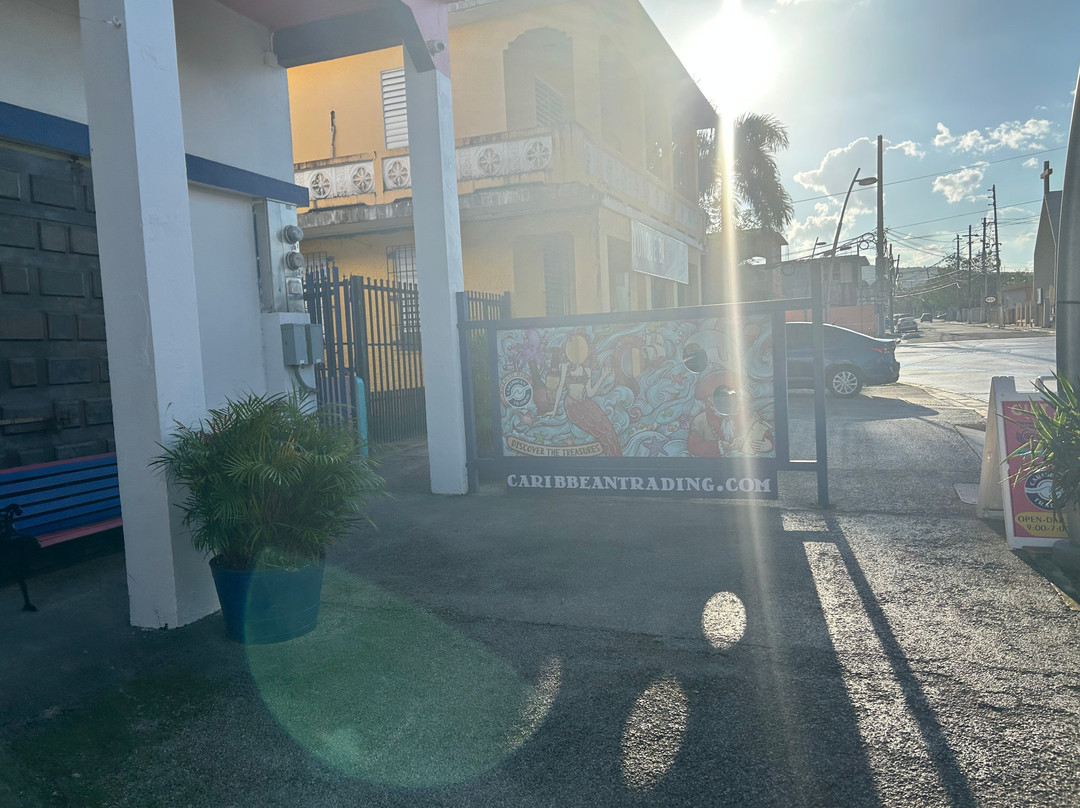 Caribbean Trading Company Store-Palmer必去景点