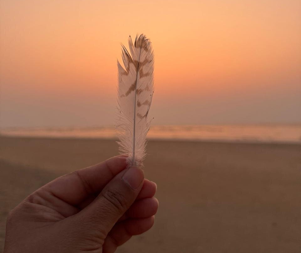 Rivercoast Resort主图