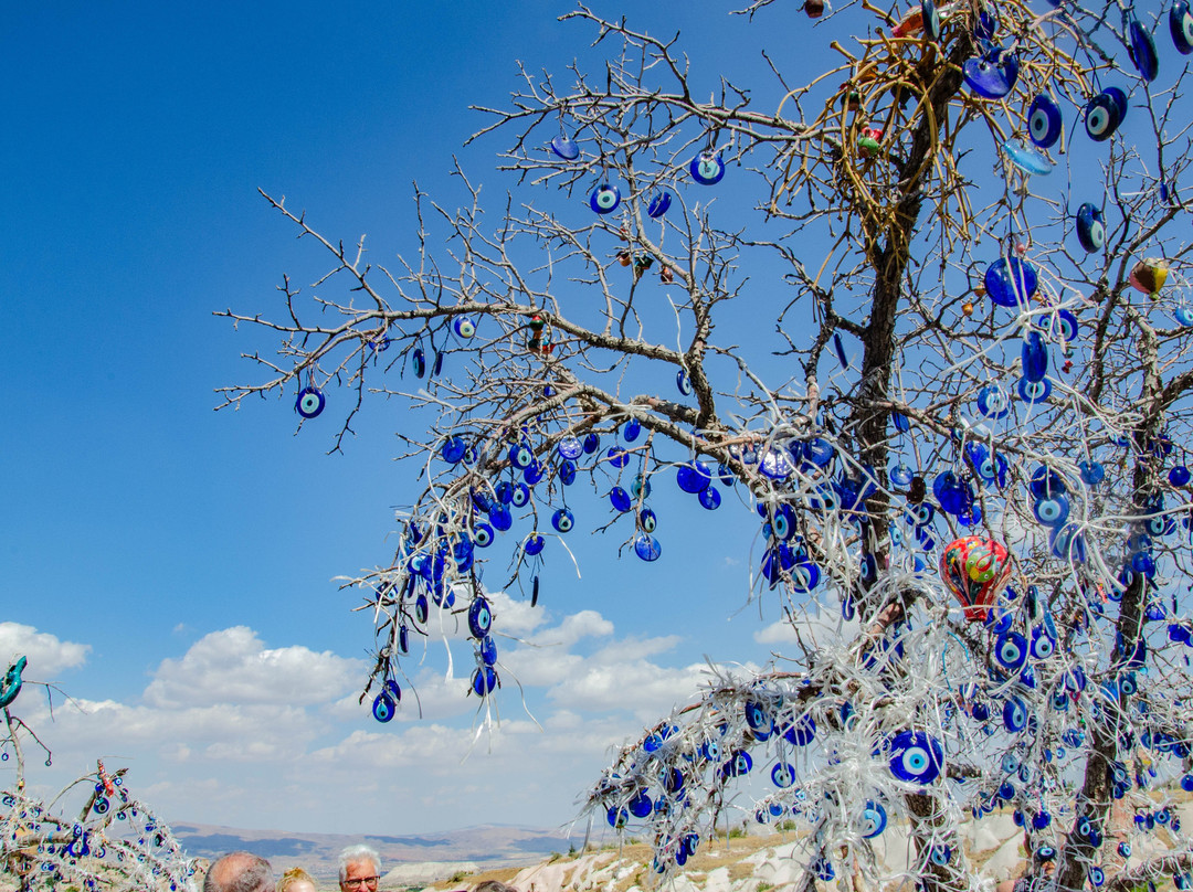 Evil Eye Tree-乌奇萨必去景点