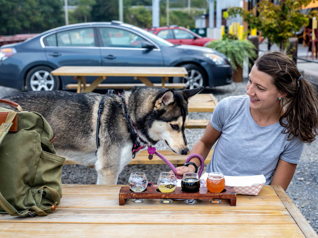 New Trail Brewing Co.-Williamsport必去景点