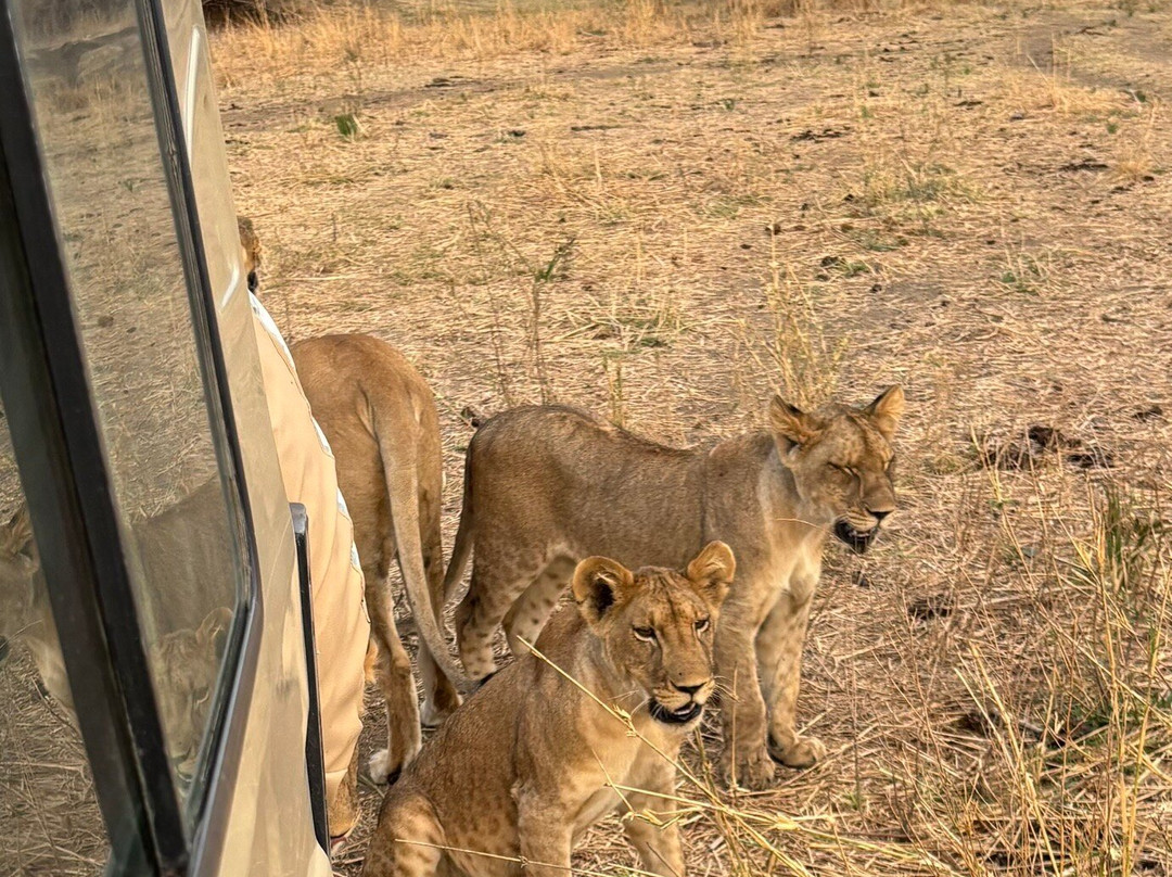 MATEMBO SAFARIS AND TOURS-阿鲁沙必去景点