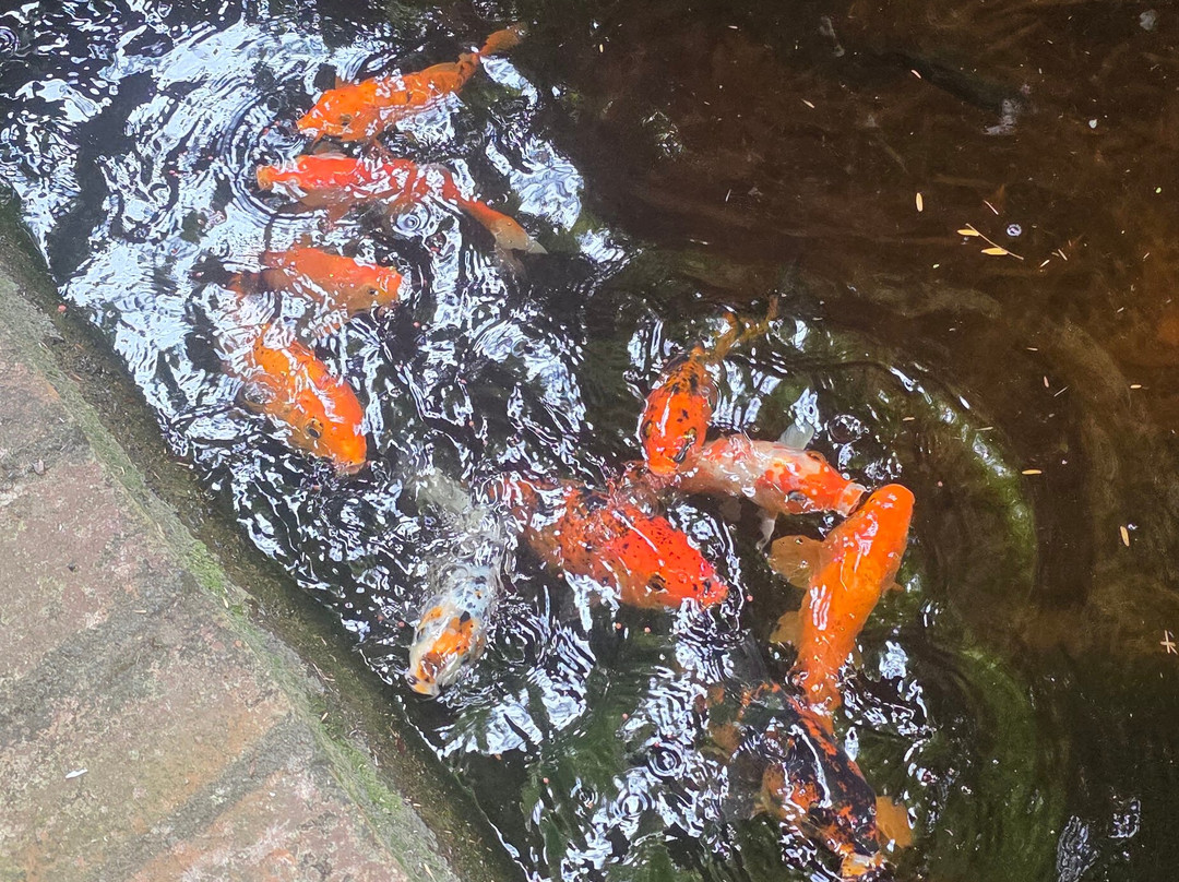 水上花园酒店主图