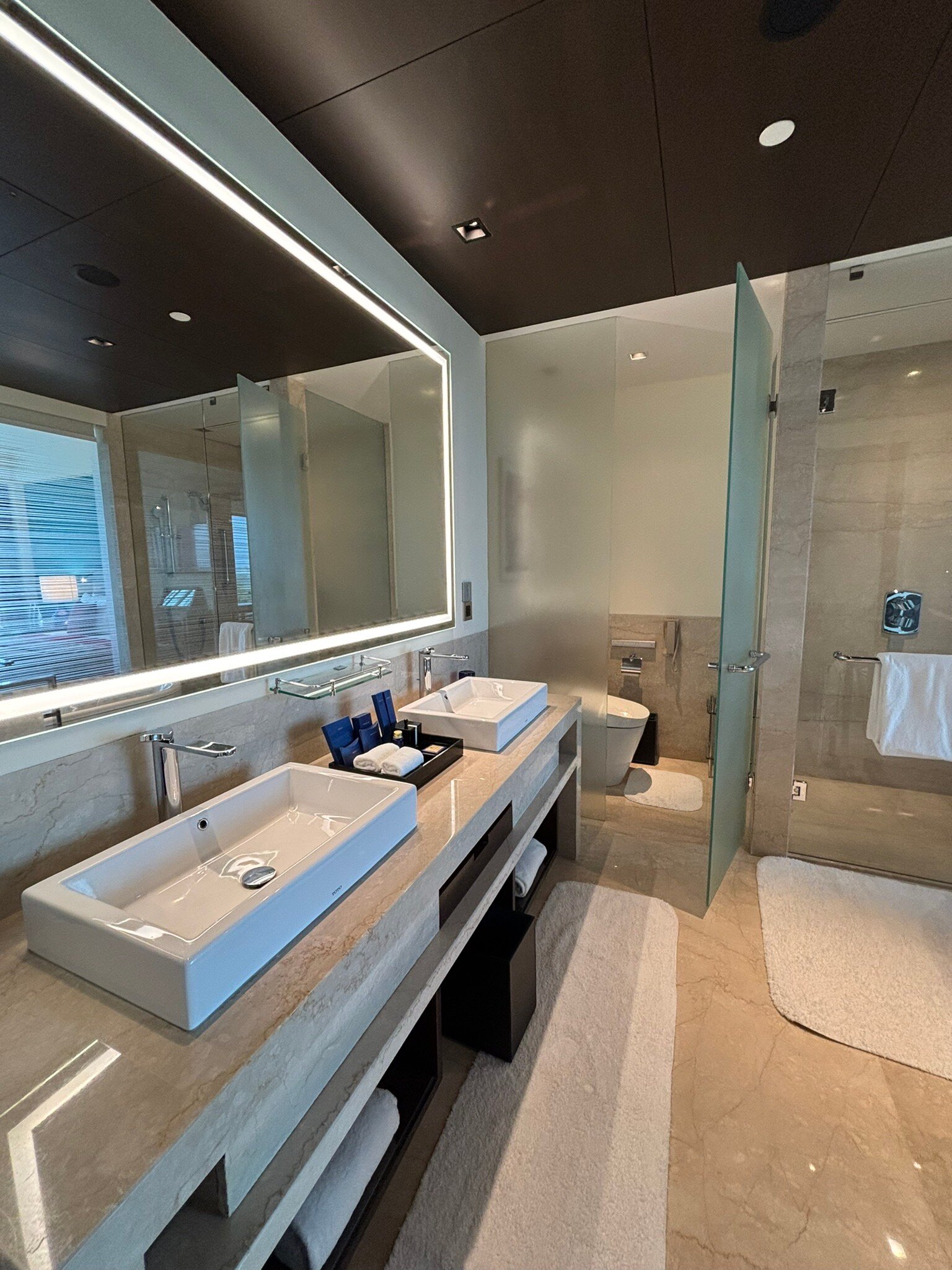 新德里欧贝罗伊饭店-浴室