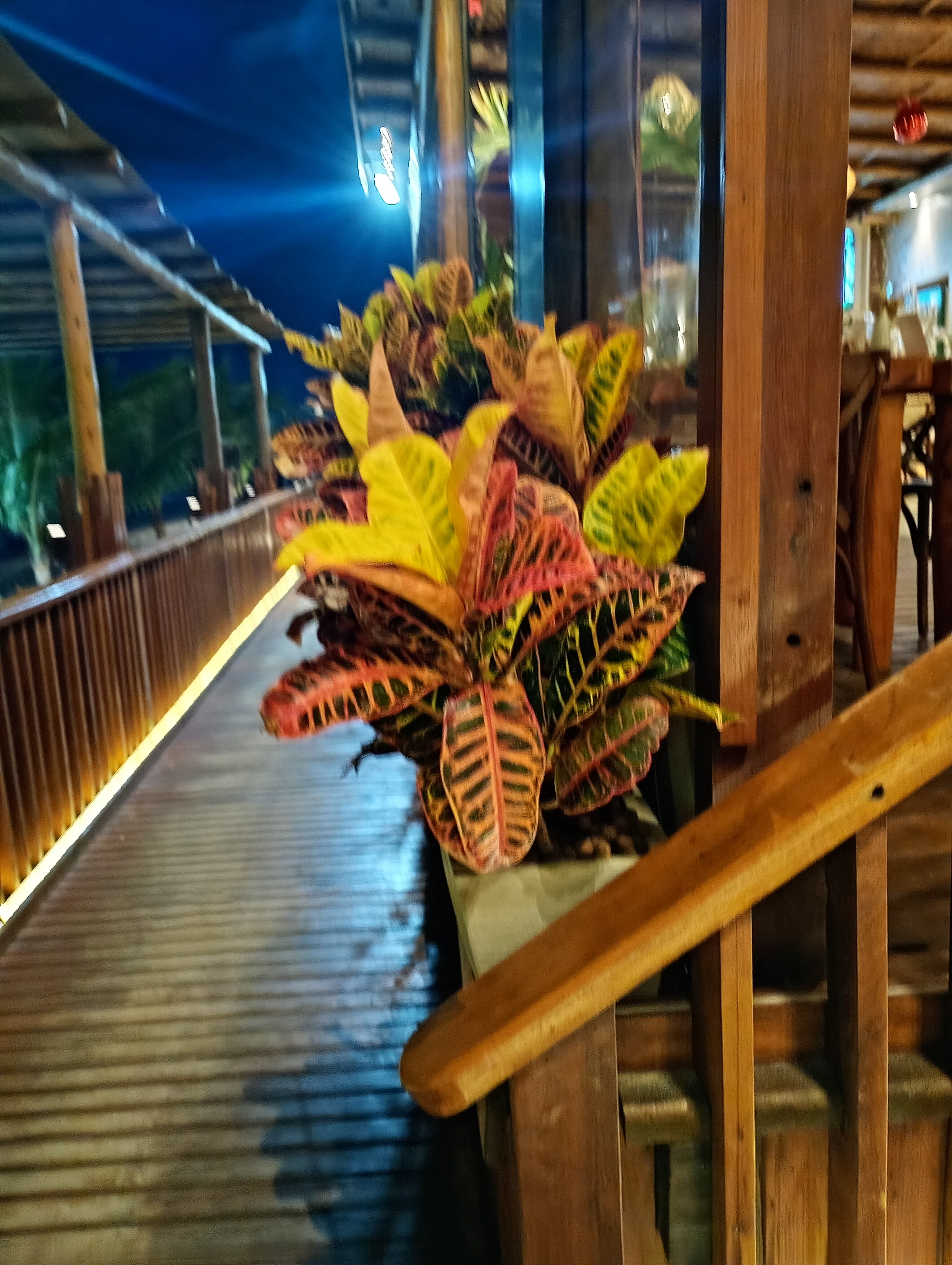 奥帕巴普拉亚酒店-官方