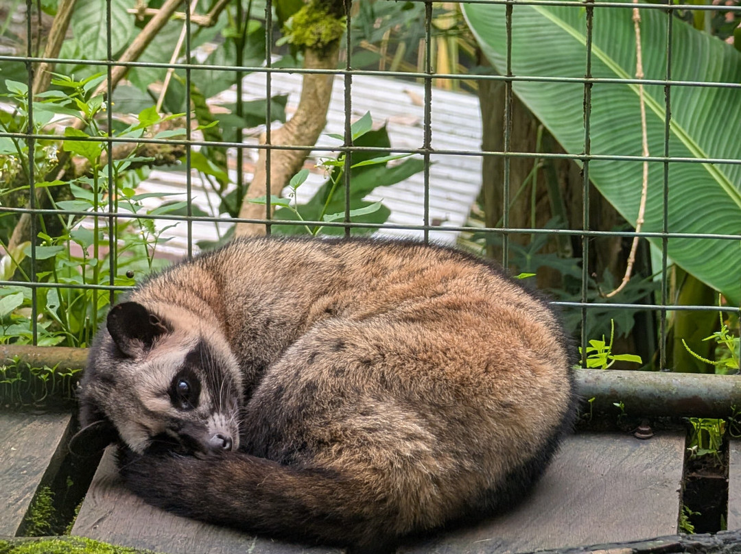 Bali Qhiu Holiday-登巴萨必去景点