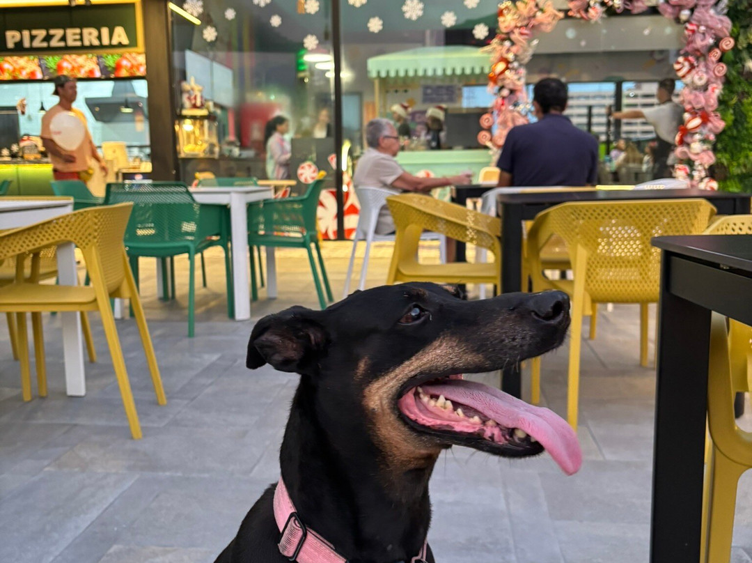 City Park Mgta-潘帕塔尔必去景点