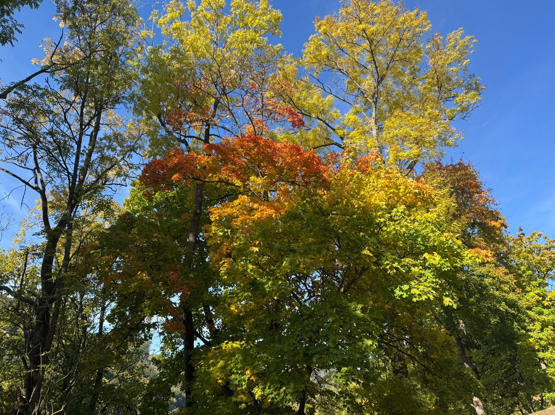 Schloss Stolberg-施托尔贝格必去景点