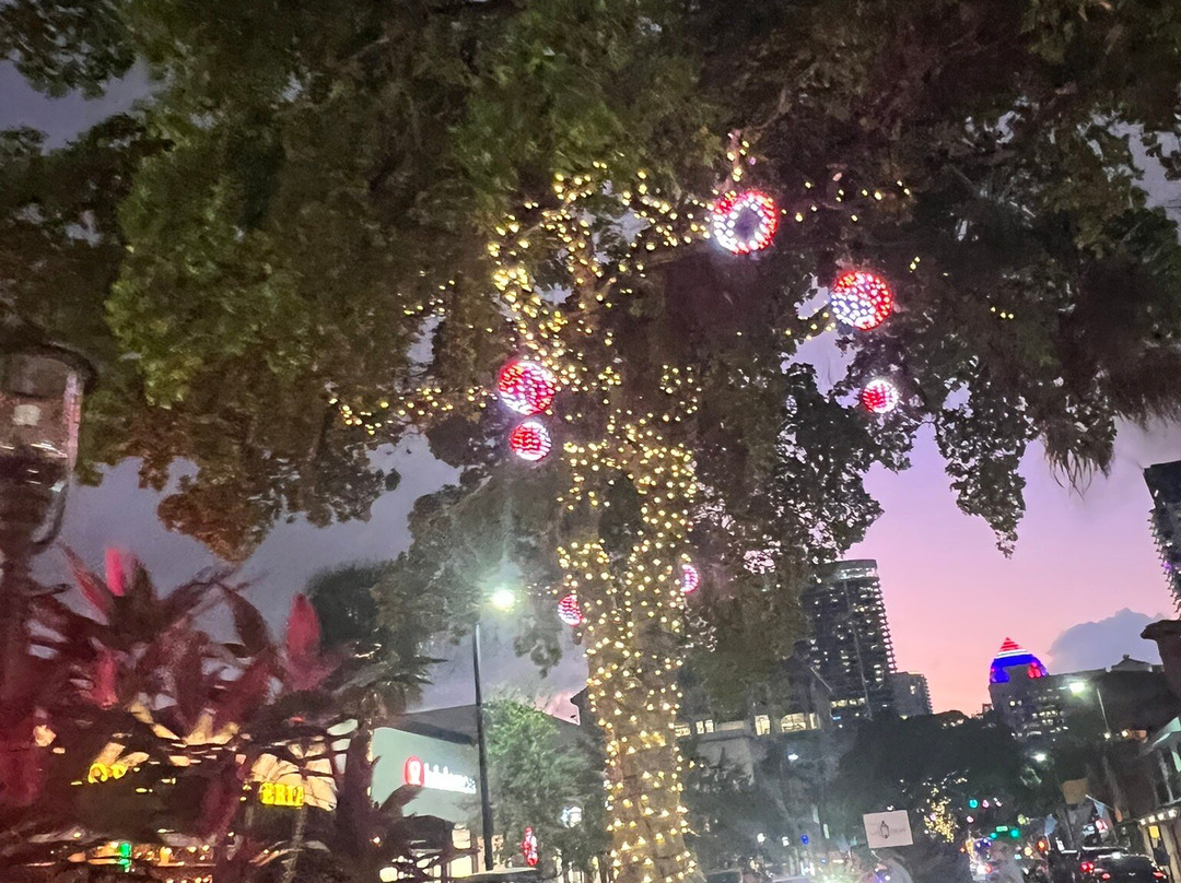 拉奥拉斯大街-劳德代尔堡必去景点