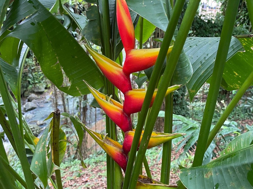 Executive Taxi & Tours (Island Tours)-St. George's必去景点