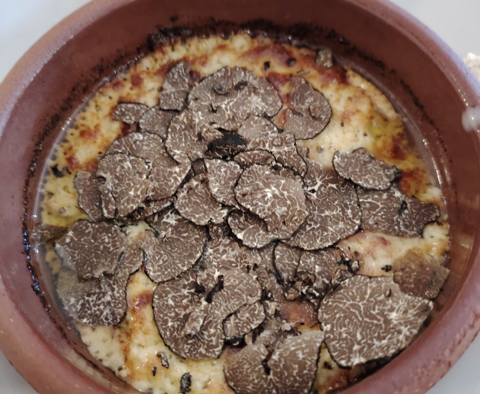 Azienda Agricola Olio del Casale-Alto必去景点