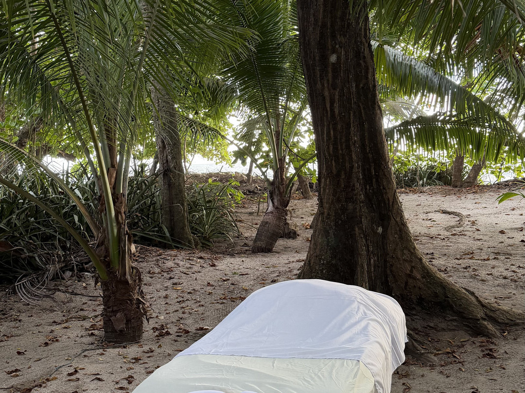 Surfer's Massage Sirene Silvia Ortiz-圣特雷莎必去景点