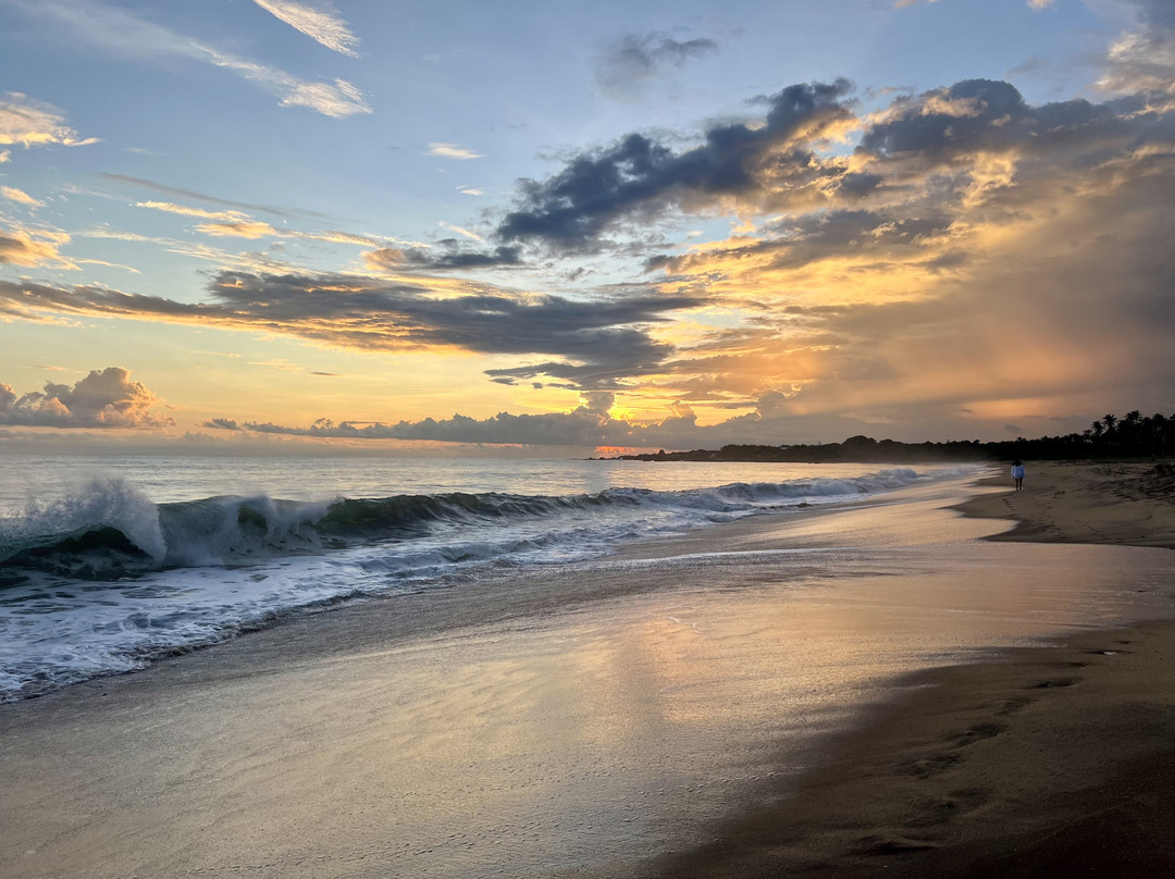 Fernando Tours Sri Lanka-Ja Ela必去景点