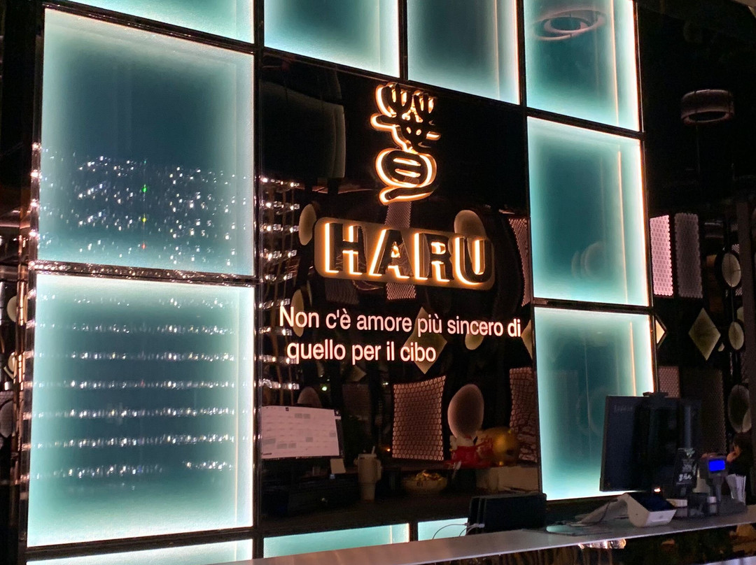 Haru Fusion Experience